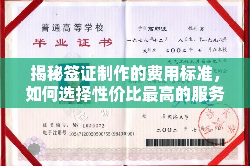 南州揭秘签证制作的费用标准，如何选择性价比最高的服务？